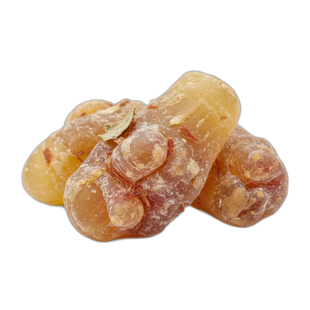 Boswellia serrata — přírodní extrakt pro podporu kloubů.